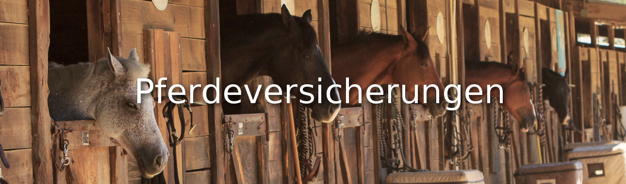 Pferdeversicherung